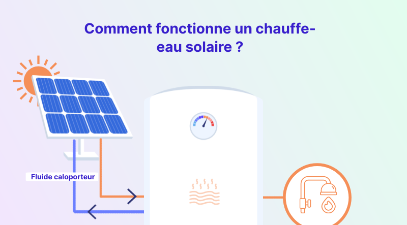 Infographie : comment fonctionne un chauffe-eau solaire ?