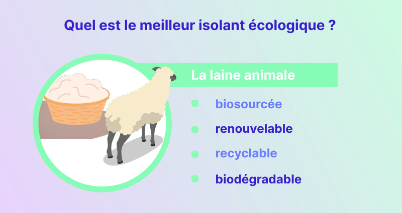Quel est le meilleur isolant écologique