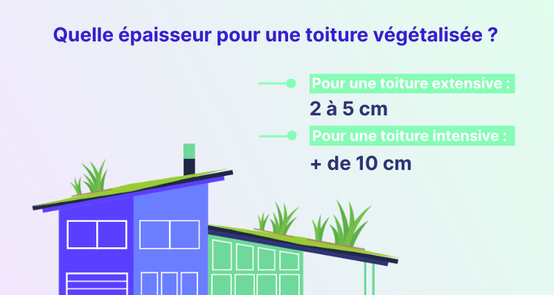 quelle épaisseur pour une toiture végétalisée